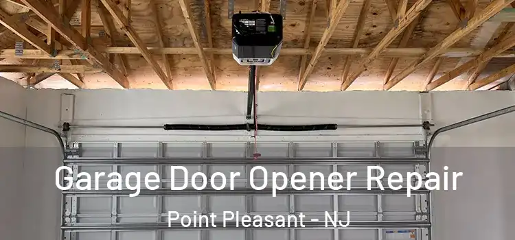  Garage Door Opener Repair Point Pleasant - NJ