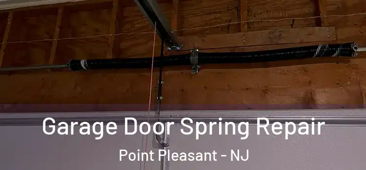  Garage Door Spring Repair Point Pleasant - NJ